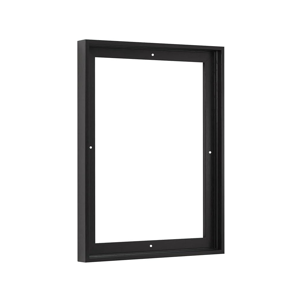 Amazon.co.jp: Pixy Canvas 22x28 フローターフレーム